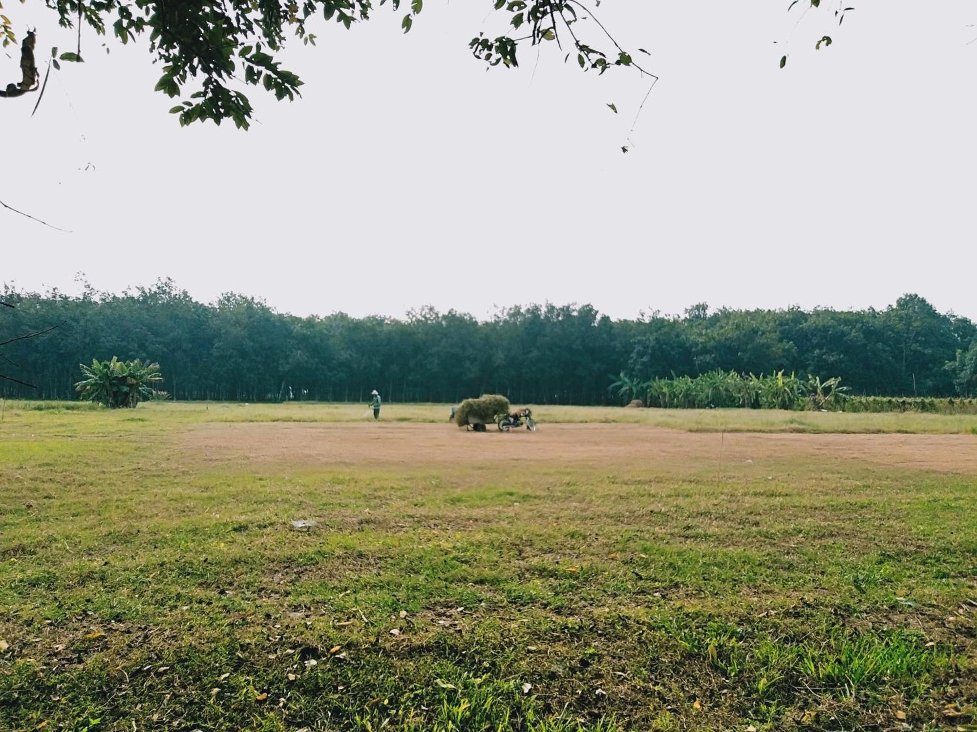Lotus Retreat TP. Hồ Chí Minh Ngoại thất bức ảnh