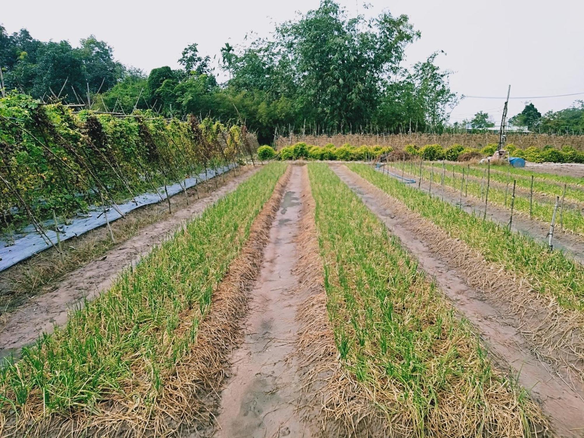 Lotus Retreat TP. Hồ Chí Minh Ngoại thất bức ảnh