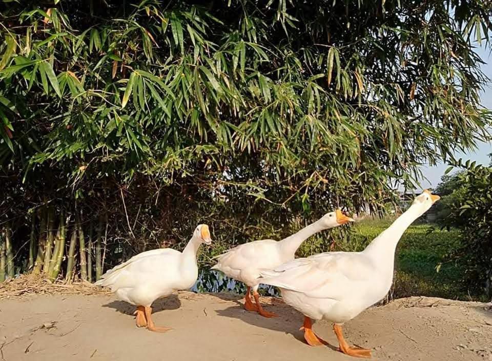 Lotus Retreat TP. Hồ Chí Minh Ngoại thất bức ảnh